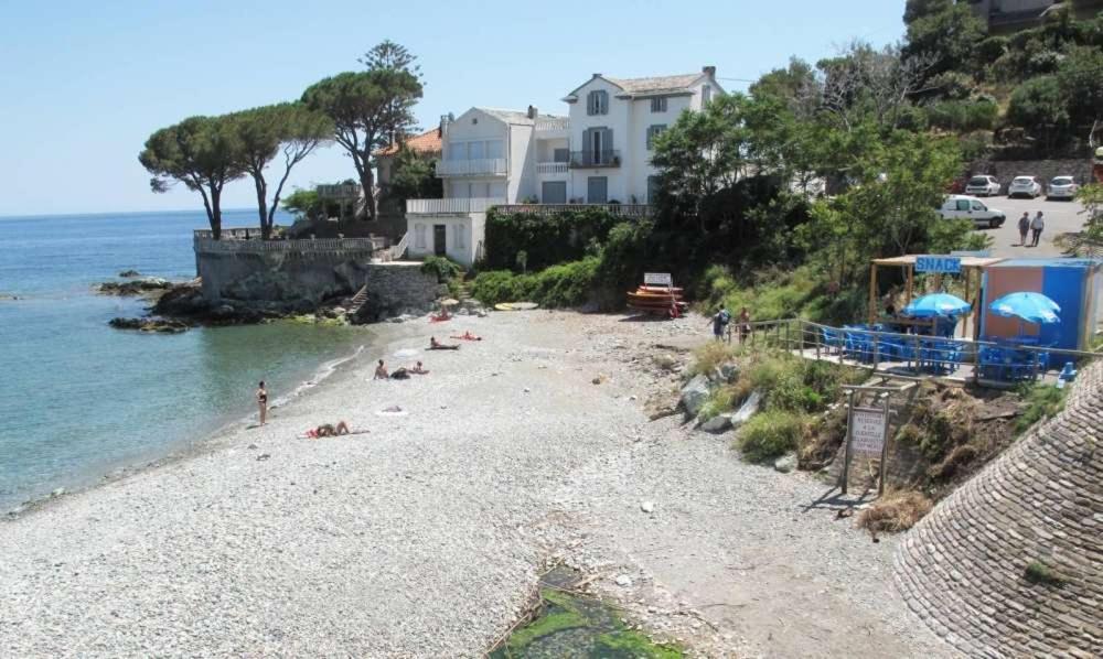 Cap Corse Une Villa Dans Un Nid De Verdure San-Martino-di-Lota Bagian luar foto